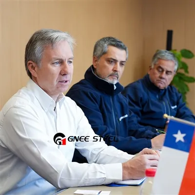 Chilean Customers Come To GNEE STEEL
